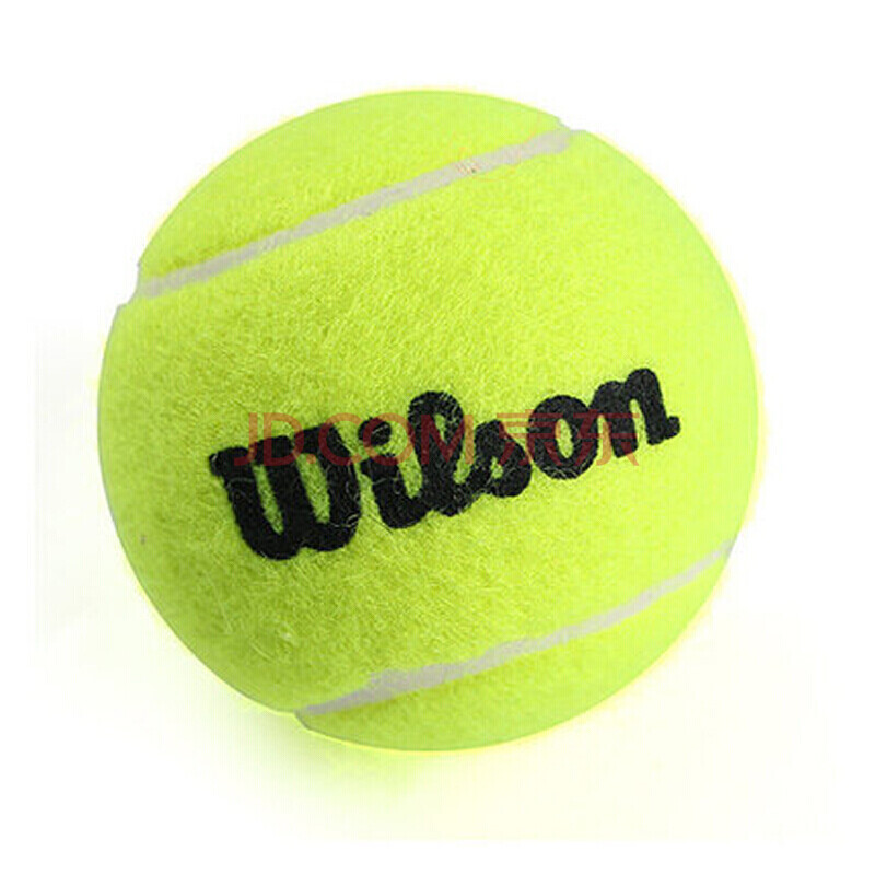 在球场上 在球场上