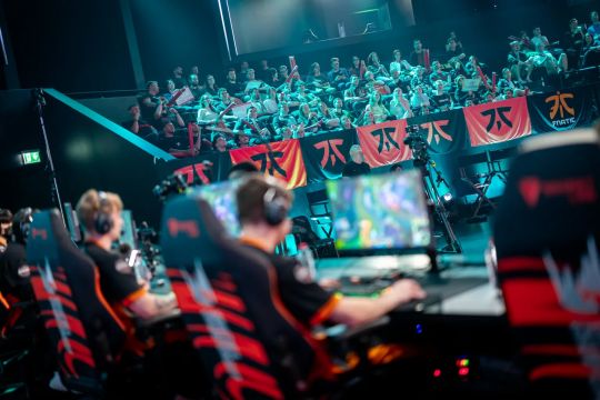 负的关键因 负的关键因